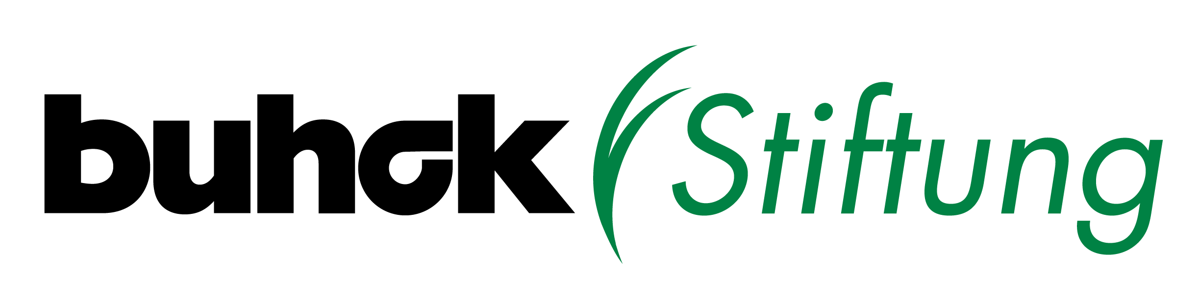 Logo buhck Stiftung